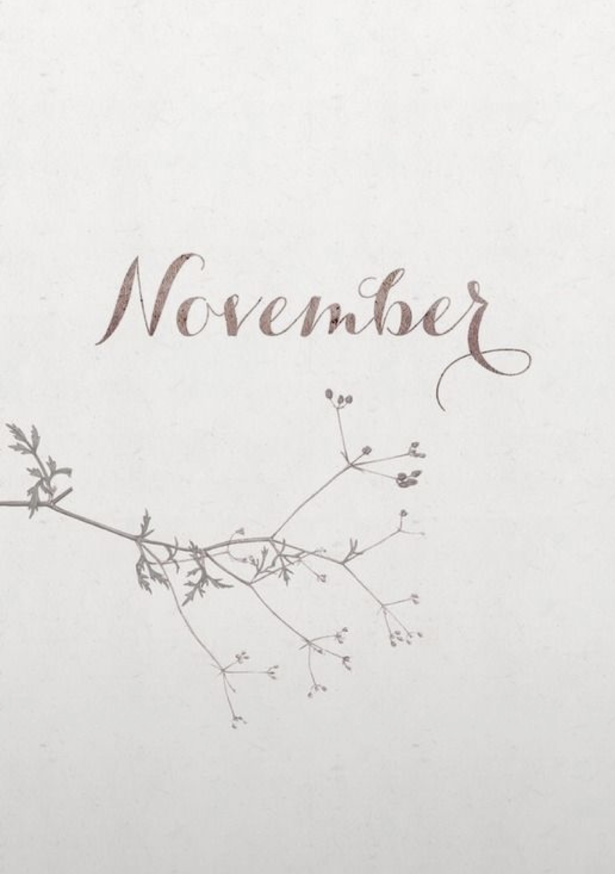 Hello November